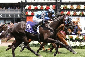 Ringerdingding, above, is one of the main fancies for the 2019 Australian Guineas at Flemington. Photo by Ultimate Racing Photos.
