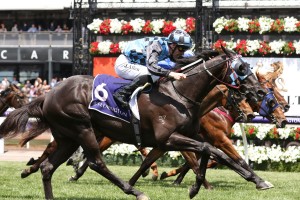 Ringerdingding, above, is included in the nominations for the 2018 Sandown Guineas at Sandown,. Photo by Ultimate Racing Photos.
