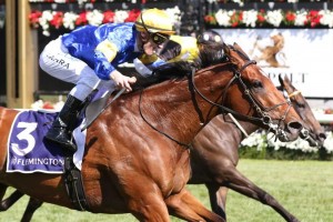 Santa Ana Lane, above, is the early favourite for the 2019 The Everest at Randwick. Photo by Ultimate Racing Photos.