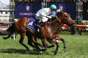 Whispering Brook, above, is one of the main fancies for the 2019 C.F. Orr Stales at Caulfield. Photo by Ultimate Racing Photos.