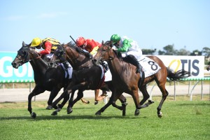 Boomsara, above with the yellow cap, scores a thrilling win in a three way photo in the 2019 Magic Millions 3yo Guineas at the Gold Coast. Photo by Steve Hart. 