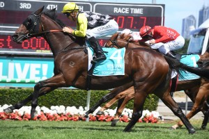 Egyptian Symbol, above, scored an upset win in the Magic Millions Snippets at the Gold Coast. Photo by Steve Hart.