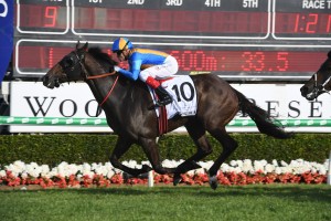 Redouble, above, wins the Magic Millions Cup at the Gold Coast. Photo by Steve Hart.