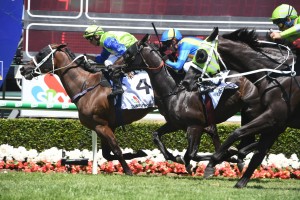 Tumultuous, on the fence with green cap, wins his second Magic Millions Trophy at the Gold Coast. Photo by Steve Hart.