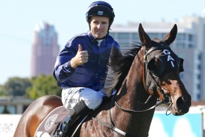 Tommy Berry, above, rode Cellsabeel to victory at Rosehill. Photo by Photo by Daniel Costello..