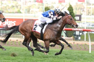 Brave Smash, above, was the winner of the 2018 Manikato Stakes at The Valley. Photo by Ultimate Racing Photos.