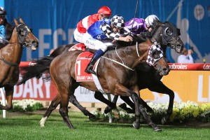 Brave Smash, above winning the Manikato Stakes, will line up in the VRC Sprint Classic at Flemington. Photo by Ultimate Racing Photos. 