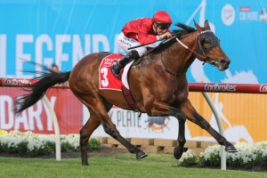 Iconoclasm, above, heads to The Goodwood at Morphettville in great shape. Photo by Ultimate Racing Photos.