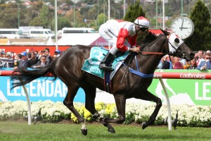 Tassie star, Mystic Journey, is set to peak in the 2019 Australian Guineas at Flemington. Photo by Ultimate Racing Photos.