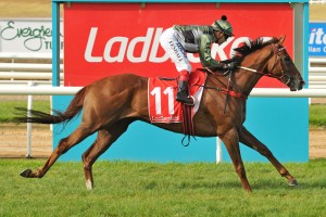 Kings Will Dream, above, has drawn barrier 6 in the 2018 Caulfield Cup at Caulfield. Photo by Ultimate Racing Photos.