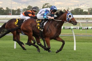 Kenedna, above, claimed her second win during the 2019 Brisbane Winter Carnival with a victory in the P.J. 'Shea Stakes at Doomben. Photo by Jenny Barnes. 