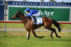 Savatiano, above, scores an all the wat win in The Hunter at Newcastle. Photo by Steve Hart.
