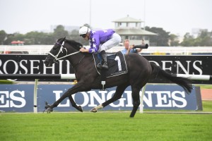 Accession, above, has drawn a wide barrier in the 2019 Inglis Millennium at Warwick Farm. Photo by Steve Hart.