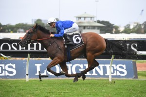 Alizee, above,. will be shooting for a slot in The Everest when she resumes in the Missile Stakes at Rosehill. Photo by Steve Hart. 