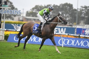 Imaging, above, is back in the picture for the 2020 Doncaster Mile after winning the Ajax Stakes at Rosehill. Photo by Steve Hart.