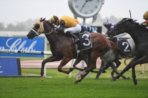 Star Of The Seas, above, relished the wet conditions to win the Maurice McCarten Stakes at Rosehill. Photo by Steve Hart.
