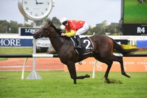 Cosmic Force, above, is now bound for the 2019 Golden Slipper after streeting his rivals in the Pago Pago Stakes at Rosehill. Photo by Steve Hart.