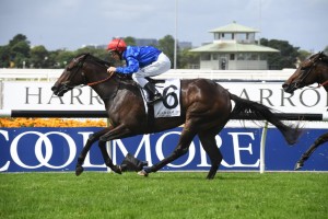 Kiamichi, above, has earned a spot in the 2019 Golden Slipper with her win in the Magic Nght Stakes at Rosehill. Photo by  Steve Hart.