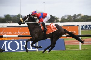 Verry Elleegant, above, scored a runaway win in the Phar Lap Stakes at Rosehill. Photo by Steve Hart.