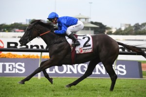 Avilius, above, is a chance to back up in the Tancred Stakes at Rosehill. Photo by Steve Hart. 