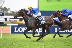 Kiamichi, above in yellow cap, beats off stablemate Microphone to win the Golden Slipper at Rosehill. Photo by Steve Hart. 