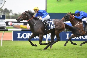 Kiamichi, above, wins the 2019 Golden Slipper at Rosehill. Photo by Steve Hart.