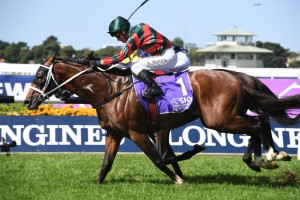 The Autumn Sun, above, claimed a fifth Group 1 victory with his win in the 2019 Rosehill Guineas at Rosehill. Photo by Steve Hart.