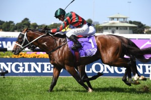 The Autumn Sun, above, scores a tough win in the 2019 Rosehill Guineas at Rosehill. Photo by Steve Hart.