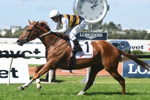 Damien Oliver will ride Gailo Chop, above, in the 2019 Cox Plate at The Valley. Photo by Steve Hart.