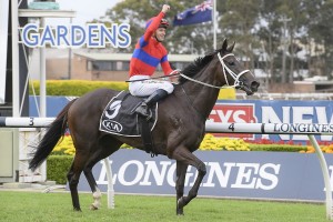 Verry Elleegant, above, will now be prepared for the 2020 Melbourne Cup after winning the Tancred Stakes at Rosehill. Photo by Steve Hart.