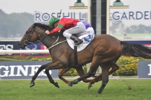Daysee Doom, above, has drawn a wide barrier in the 2019 Coolmore Classic at Rosehill. Photo by Steve Hart. 