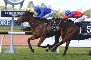 Alizee, above in the Godolphin royal blue colours, wins the Missile Stakes at Rosehill. Photo by Steve Hart.
