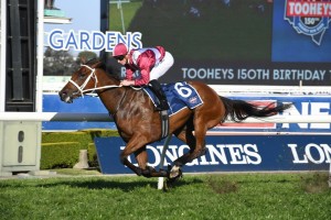 Arcadia Queen, above, is one of three runners for Chris Waller in The Everest at Randwick. Photo by Steve Hart.