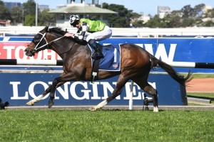 Mister Sea Wolf, above, scores a clear cup win in the 2019 Shannon Stakes at Rosehill. Photo by Steve Hart.