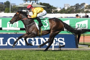 Mizzy, above, makes it three wins on the trot with her victory in the Golden Pendant at Rosehill. Photo by Steve Hart.