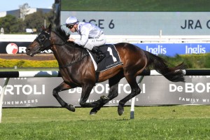 Stampede, above, is likely to set the pace in The Metropolitan at Randwick. Photo by Steve Hart. 