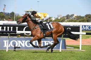 Dame Giselle, above, was an all the way winner in the Silver Shadow Stakes at Randwick. Photo by Steve Hart.