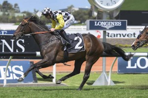 Sky Boy, above, is the early favourite for the 2018 Villiers Stakes at Randwick. Photo by Steve Hart.
