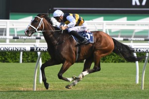 Tom Melbourne. above, breaks a three year drought with a win in the Carrington Stakes at Randwick. Photo by Steve Hart.
