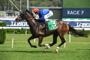 Flit, above, wins the Light Fingers Stakes at Randwick. Photo by Steve Hart.