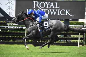 The James Cummings trained Tenley, above, is among the 2019 Kennedy Oaks nominations. Photo by Steve Hart.