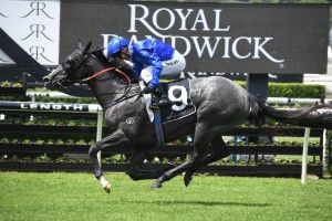 Tenley, above, rockets into Golden Slipper contention with a win in the Pierro Stakes at Randwick. Photo by Steve Hart.