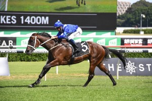 Winx, above, scores an effortless first up win in the 2019 Apollo Stakes at Randwick. Photo by Steve Hart. 