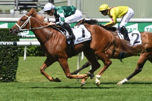 Hungry Heart, above in the green colours, races into Golden Slipper contention with a win in the Sweet Embrace Stakes at Randwick. Photo by Steve Hart. 