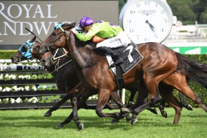 Nakeeta Jane, above in green and purple colours, is among the nominations for the 2019 Vinery Stud Stakes at Rosehill. Photo by Steve Hart.  
