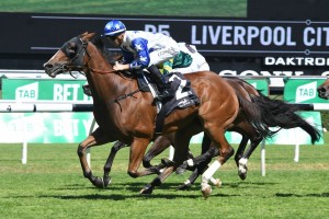 Crack Me Up, above, will go into The Stradbroke Handicap second up at Eagle Farm. Photo by Steve Hart.
