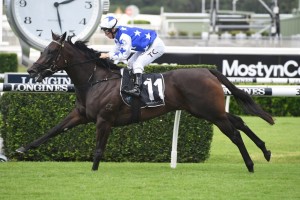 Villami, above, scored an all the way win in the Fireball Stakes at Randwick. Photo by Steve Hart.