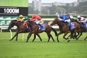 Ball Of Muscle, above in yellow and green colours, holds out Redzel to win the Challenge Stakes at Randwick. Photo by Steve Hart.