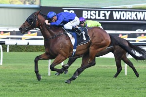 Happy Clapper, above, will join in on Winx's farewell in the 2019 Queen Elizabeth Stakes at Randwick. Photo by Steve Hart.