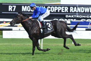 Kementari, above, will need plenty of luck from wide barrier in barrier in 2018 Manikato Stakes at The Valley. Photo by Steve Hart. 